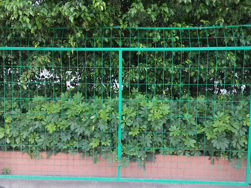扁鐵護欄